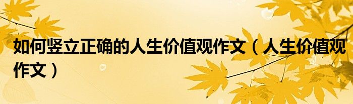 如何竖立正确的人生价值观作文（人生价值观作文）