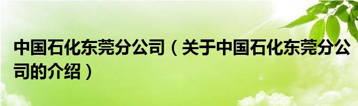 中国石化东莞分公司（关于中国石化东莞分公司的介绍）