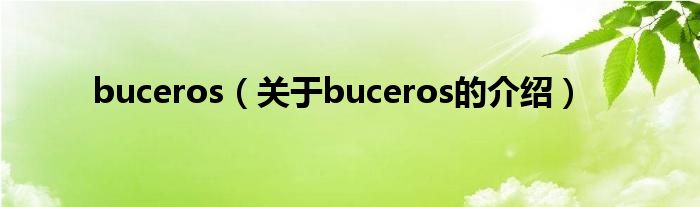 buceros（关于buceros的介绍）