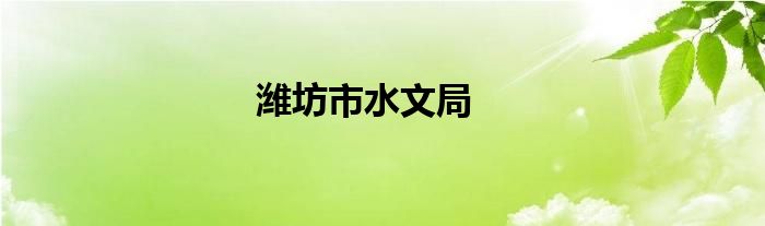 潍坊市水文局
