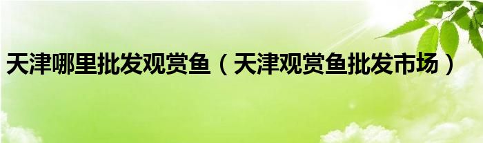 天津哪里批发观赏鱼（天津观赏鱼批发市场）