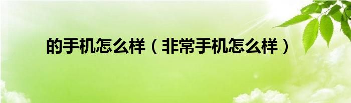 的手机怎么样（非常手机怎么样）