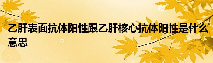 乙肝表面抗体阳性跟乙肝核心抗体阳性是什么意思