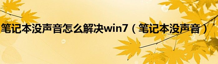 笔记本没声音怎么解决win7（笔记本没声音）