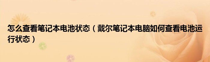 怎么查看笔记本电池状态(戴尔笔记本电脑如何查看电池运行状态)