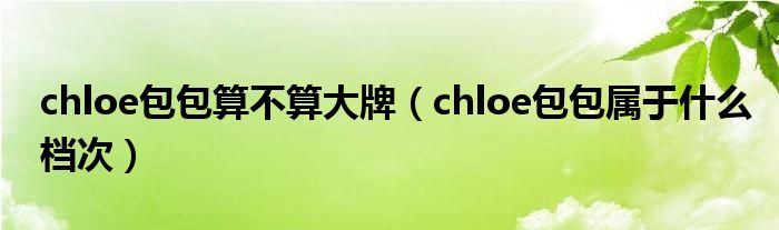 chloe包包算不算大牌（chloe包包属于什么档次）
