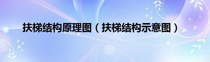扶梯结构原理图（扶梯结构示意图）