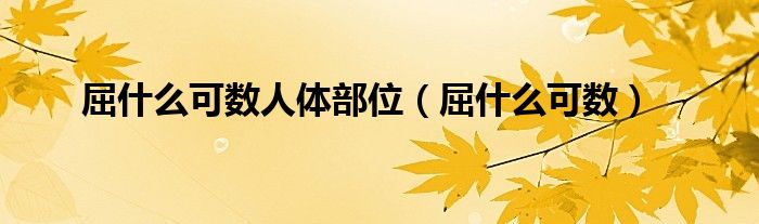 屈什么可数人体部位（屈什么可数）