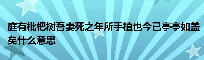 庭有枇杷树吾妻死之年所手植也今已亭亭如盖矣什么意思