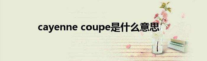 cayenne coupe是什么意思