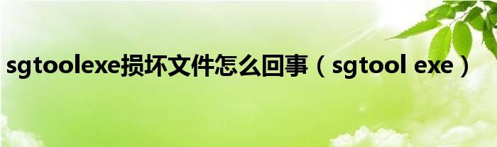 sgtoolexe损坏文件怎么回事（sgtool exe）