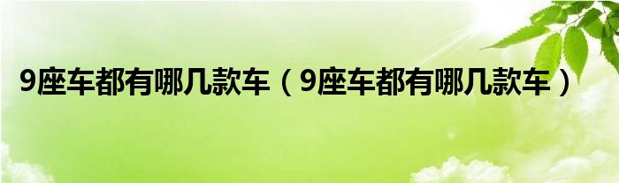 9座车都有哪几款车（9座车都有哪几款车）