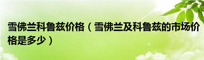 雪佛兰科鲁兹价格（雪佛兰及科鲁兹的市场价格是多少）