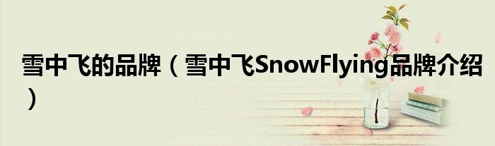雪中飞的品牌（雪中飞SnowFlying品牌介绍）