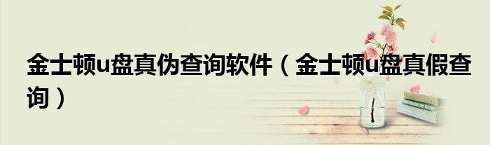 金士顿u盘真伪查询软件（金士顿u盘真假查询）