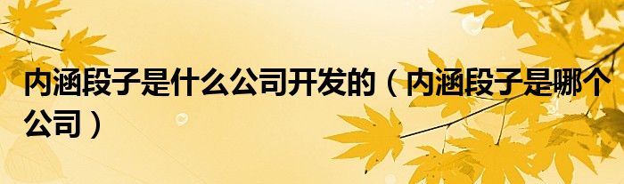 内涵段子是什么公司开发的（内涵段子是哪个公司）