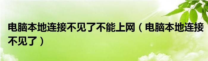 电脑本地连接不见了不能上网（电脑本地连接不见了）