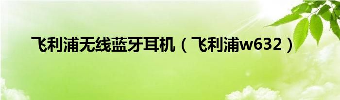 飞利浦无线蓝牙耳机（飞利浦w632）