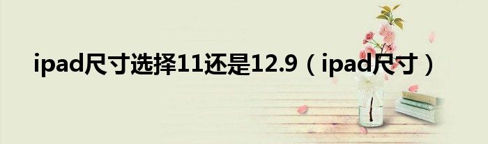 ipad尺寸选择11还是12.9（ipad尺寸）