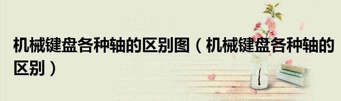 机械键盘各种轴的区别图（机械键盘各种轴的区别）