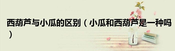 西葫芦与小瓜的区别（小瓜和西葫芦是一种吗）