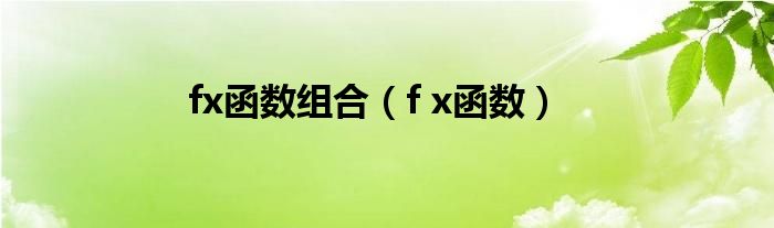 fx函数组合（f x函数）