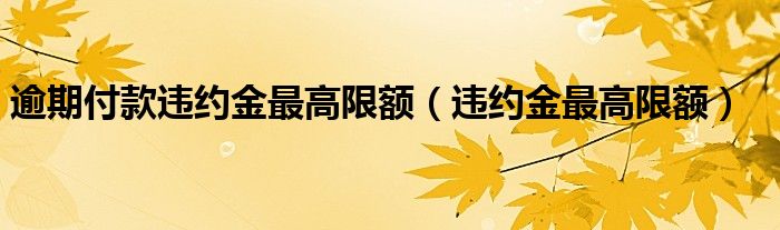 逾期付款违约金最高限额（违约金最高限额）