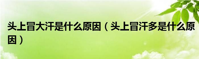 头上冒大汗是什么原因（头上冒汗多是什么原因）
