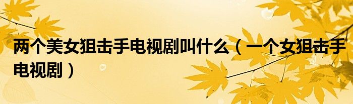两个美女狙击手电视剧叫什么（一个女狙击手电视剧）