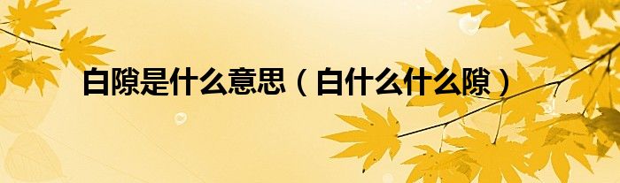 白隙是什么意思（白什么什么隙）