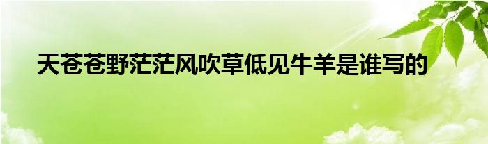 天苍苍野茫茫风吹草低见牛羊是谁写的