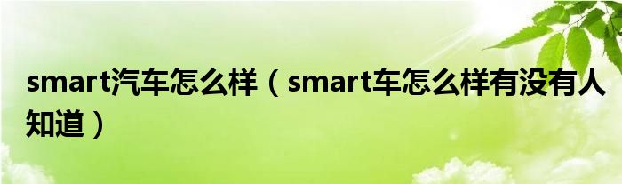 smart汽车怎么样（smart车怎么样有没有人知道）