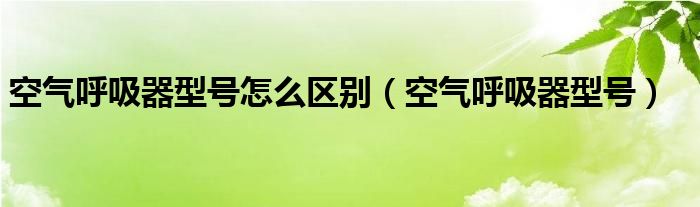 空气呼吸器型号怎么区别（空气呼吸器型号）