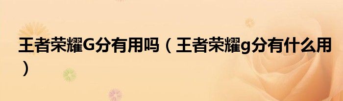 王者荣耀G分有用吗（王者荣耀g分有什么用）