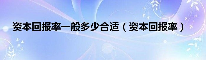 资本回报率一般多少合适（资本回报率）