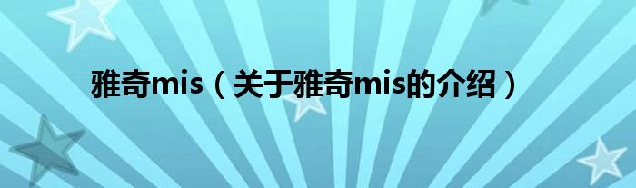 雅奇mis（关于雅奇mis的介绍）