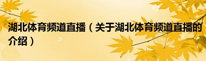 湖北体育频道直播（关于湖北体育频道直播的介绍）