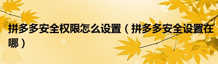 拼多多安全权限怎么设置(拼多多安全设置在哪)