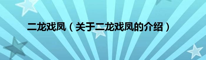 二龙戏凤（关于二龙戏凤的介绍）