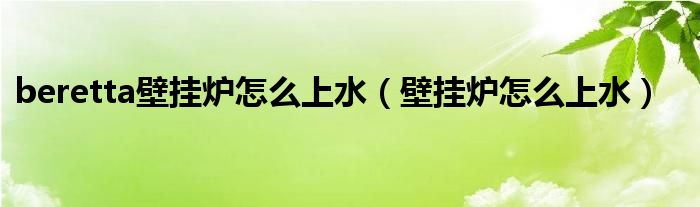 beretta壁挂炉怎么上水（壁挂炉怎么上水）