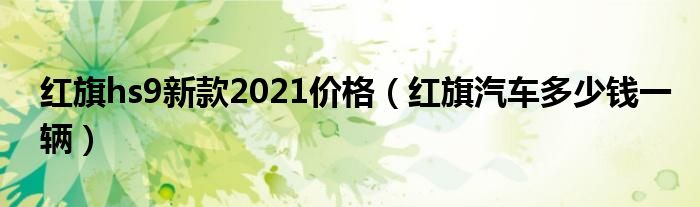 红旗hs9新款2021价格(红旗汽车多少钱一辆)