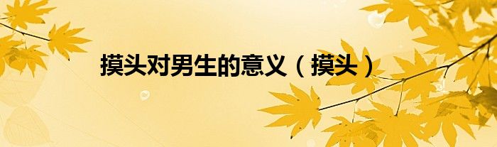 摸头对男生的意义（摸头）