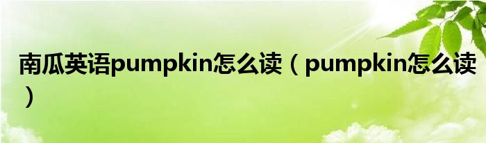 南瓜英语pumpkin怎么读（pumpkin怎么读）