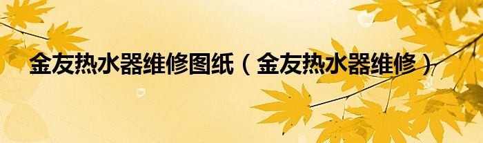 金友热水器维修图纸（金友热水器维修）