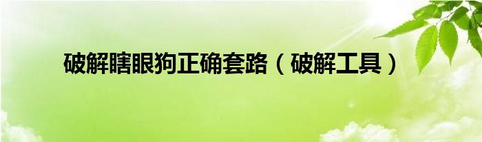 破解瞎眼狗正确套路（破解工具）