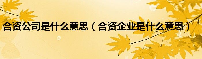 合资公司是什么意思（合资企业是什么意思）