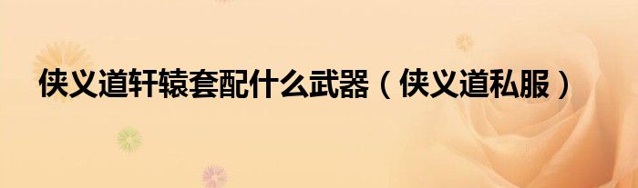 侠义道轩辕套配什么武器（侠义道私服）