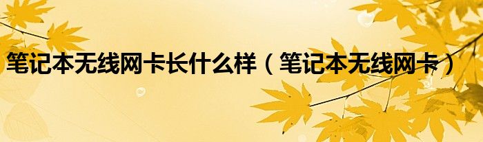 笔记本无线网卡长什么样（笔记本无线网卡）