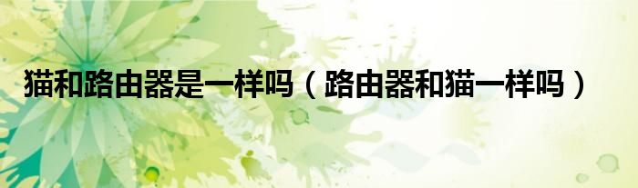 猫和路由器是一样吗（路由器和猫一样吗）